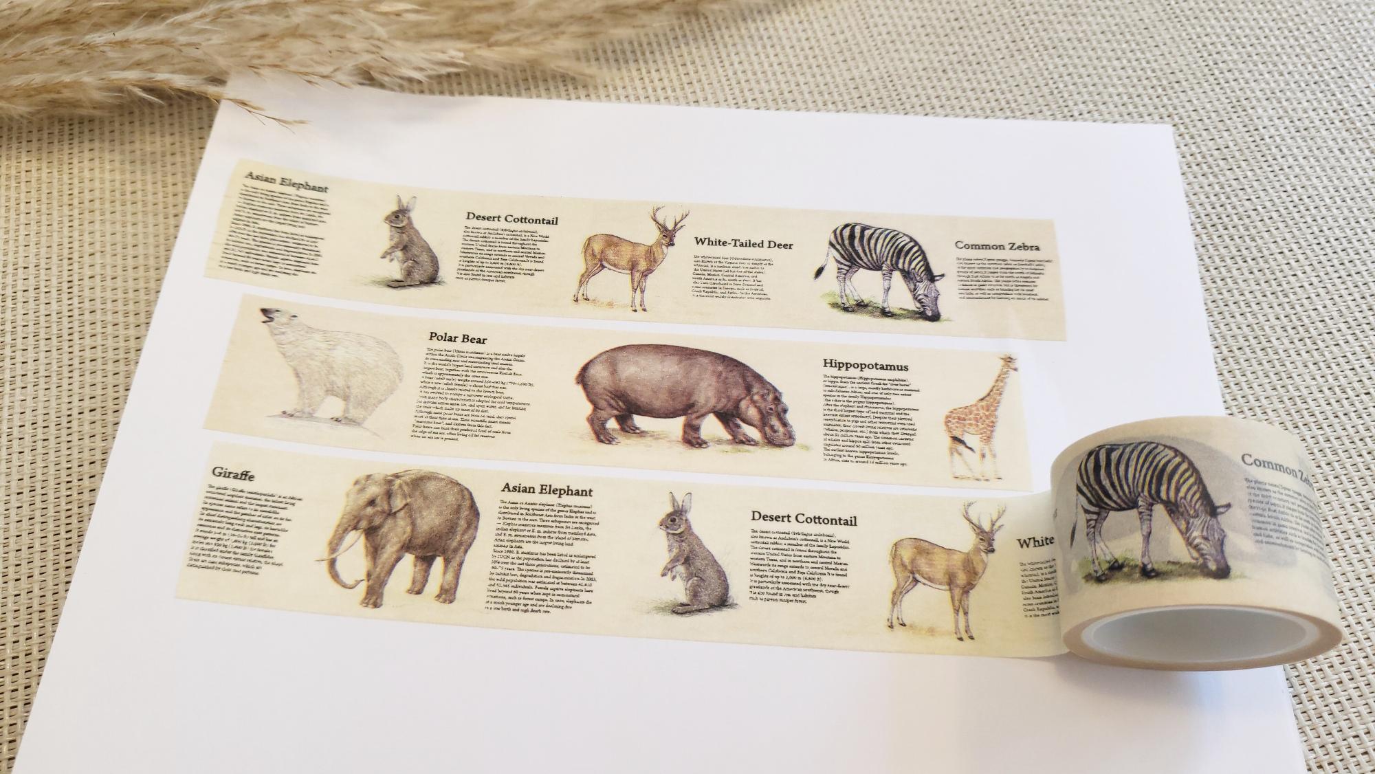 Design Washi Tape Encyclopaedia
